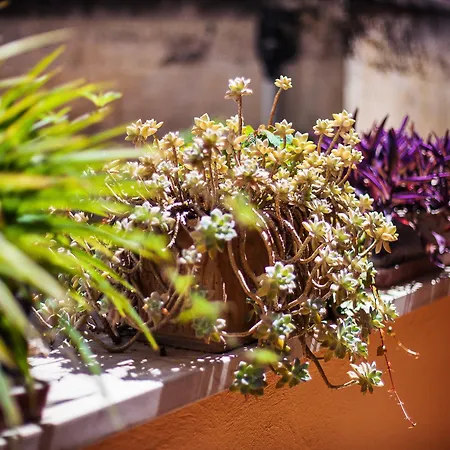 The Brunetti - Luxury Serviced Appartement