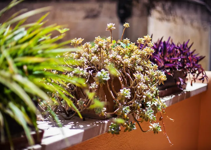 The Brunetti - Luxury Serviced Apartment